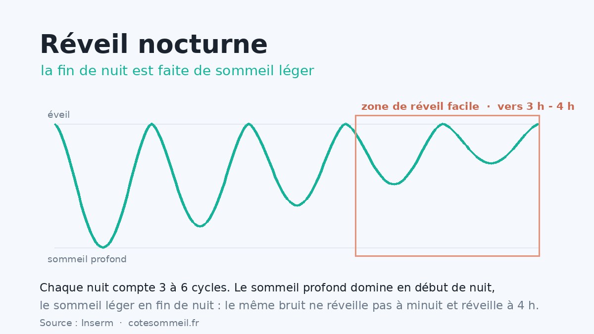 Hypnogramme : le sommeil profond domine en début de nuit, le sommeil léger en fin de nuit